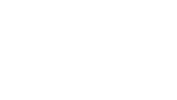 Chubbies